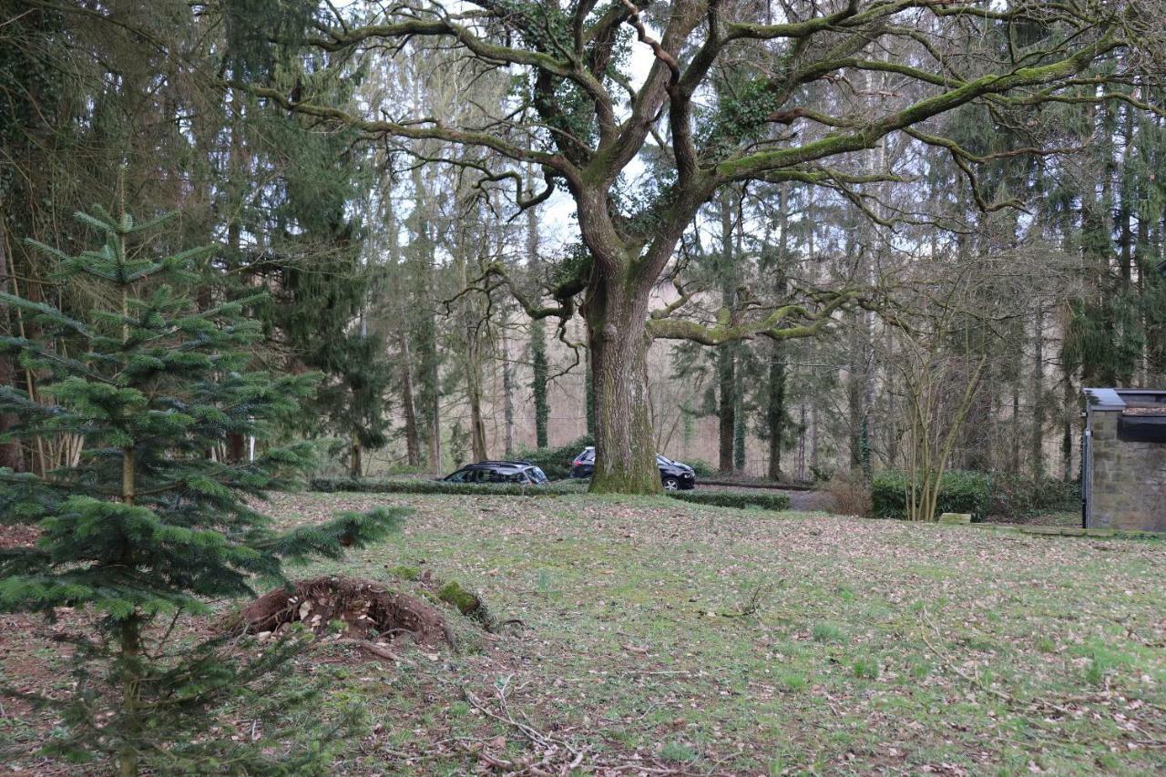 Le Portail Des Ardennes Villa Nassogne Exteriör bild